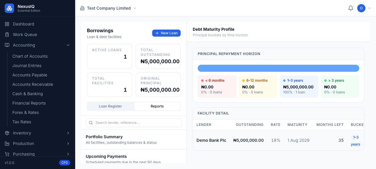 Debt maturity profile: principal buckets under 6 months, 6 to 12 months, 1 to 3 years and over 3 years